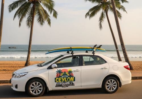 Relax on Sri Lankas pristine south coast with Wow Ceylon Tours, enjoying beautiful beaches and water sports in Galle, Unawatuna, Mirissa, and Tangalle